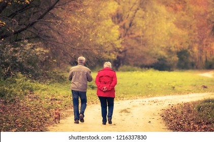 Old Couple Walking In The Autumn Forest. 