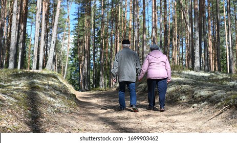 An Old Couple Walking On A Forest Road