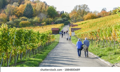 An Old Couple Walking And A Young Family Having Fun In The Vineyard Under The Sunshine, The Conduct Of Life