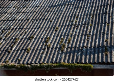 2,549 Slate roof texture moss Images, Stock Photos & Vectors | Shutterstock