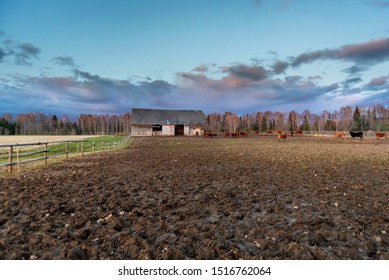 Old Cow Farm Barn In Evening During Sunset Sky. (high ISO Image)