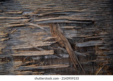 Old cracked plywood surface. Spring season, April. Web banner.