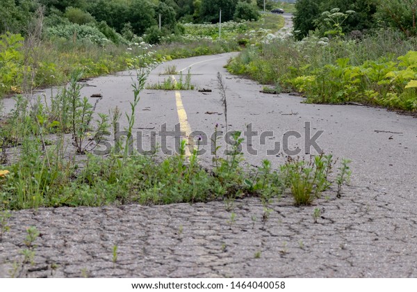 Old cracked road asphalt with\
yellow solid line, grunge marking on abandoned overgrown\
road.