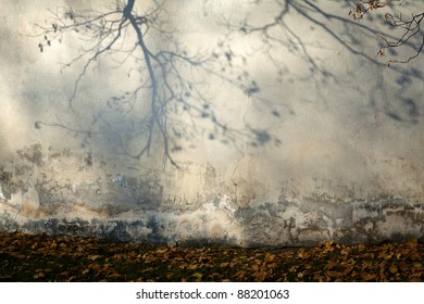 Old Cracked Wall With A Shadow Of A Tree