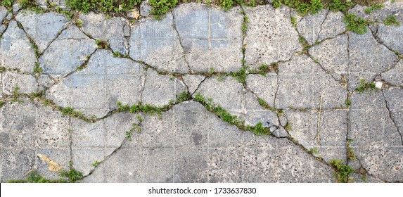 old cracked and weathered broken floor of cement and stone, with grass and moss growing - rough texture background	 - Powered by Shutterstock