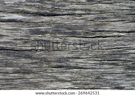 old cracked wood close-up texture ideal for background. 