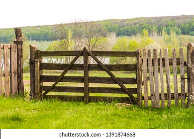 Old, cracked wooden fence and gate to pasture against the backdrop of nature.
