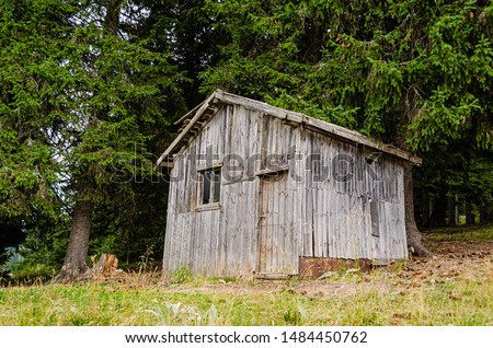 Old and creepy wooden shack hidden in the woods 
