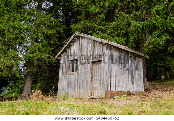 Old and\
creepy wooden shack hidden in the woods\

