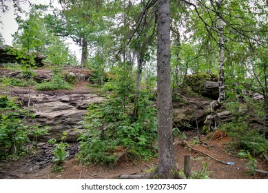 Old crumbling rock with trees, roots and soil
