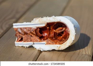 Old Cut Sludge Polypropylene Plumbing Pipe With Red Rust And Limescale. Corrosion, Sludge And Hard Water Concept. Rust Broken Water Pipe On Wooden Background, Selective Focus
