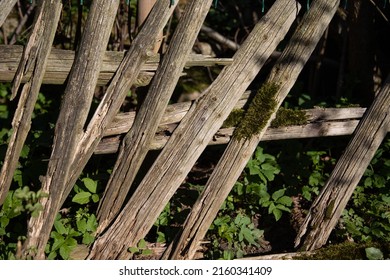 Old Damaged And Broken Wood Fence With Moss And Nails