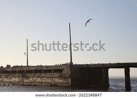 Old damaged harbor pier that birds use for a breeding colony, Port Nolloth, South Africa