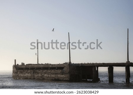 Old damaged harbor pier that birds use for a breeding colony, Port Nolloth, South Africa