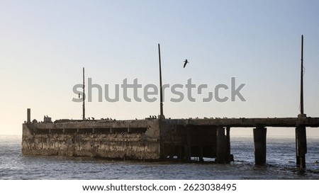 Old damaged harbor pier that birds use for a breeding colony, Port Nolloth, South Africa