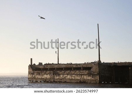 Old damaged harbor pier that birds use for a breeding colony, Port Nolloth, South Africa