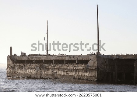 Old damaged harbor pier that birds use for a breeding colony, Port Nolloth, South Africa