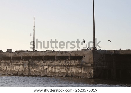 Old damaged harbor pier that birds use for a breeding colony, Port Nolloth, South Africa