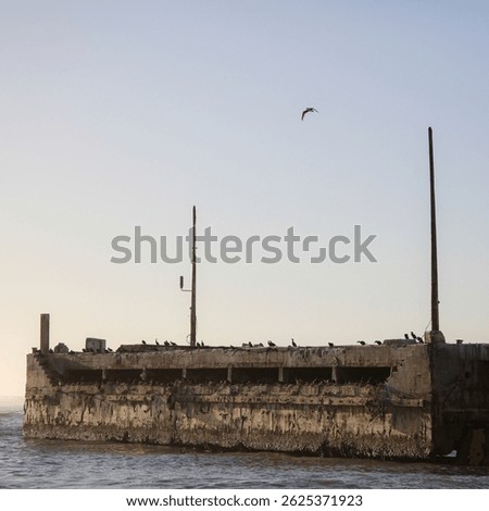 Old damaged harbor pier that birds use for a breeding colony, Port Nolloth, South Africa