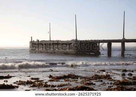 Old damaged harbor pier that birds use for a breeding colony, Port Nolloth, South Africa