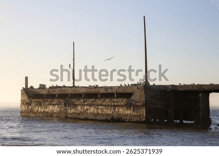 Old damaged harbor pier that birds use for a breeding colony, Port Nolloth, South Africa