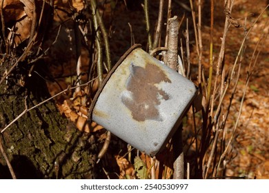 Old damaged metal cup on a branch - Powered by Shutterstock