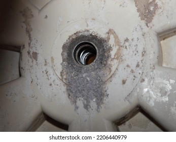 Old Damaged Sealing Before Replacement In Washer Machine Drum . Front Load Washing Machine Repair