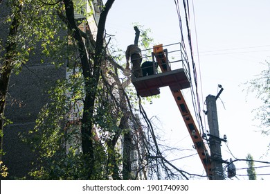 Old Dangerous Trees Are Being Removed In Cities. The Process Of Sawing A Tree Trunk. A Worker Of A City Municipal Utility Chainsaw Cuts An Old Tall Tree