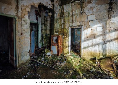 Old Dark Overgrown Interior Of Abandoned Building.