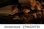 Old data sourse Rolled up stacks of unbound thick scrolls of ancient manuscripts. ancient paper scrolls. damaged, old, burnt paper in rolls. High quality photo