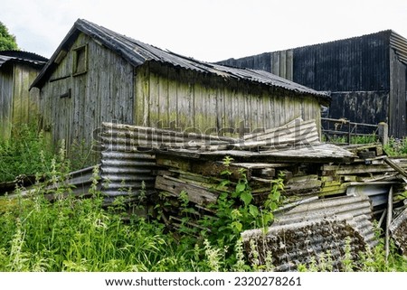 old and decaying rickety wooden shed slowly falling down and piles of asbestos sheets with weeds and nettles growing all around