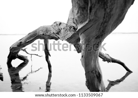 Stranded I Environment