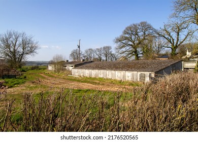 543 Corrugated iron shack Images, Stock Photos & Vectors | Shutterstock