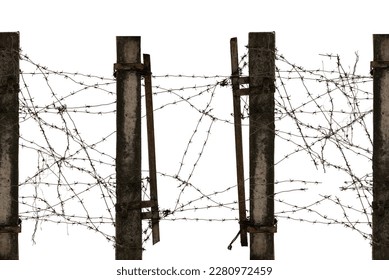 Old destroyed fence with barbed wire on a white background. Barb Wire