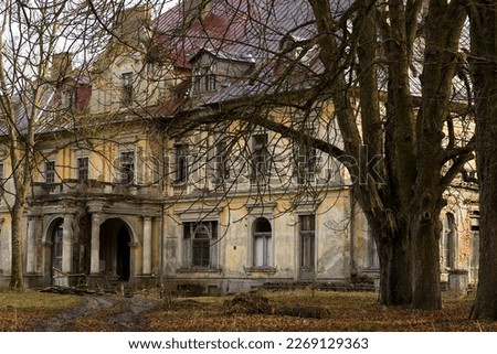 Old, destroyed palace - former seat of the magnate family . The Drucki - Lubecki Palace visible by the trees of the former palace park, in the gray winter aura .  
