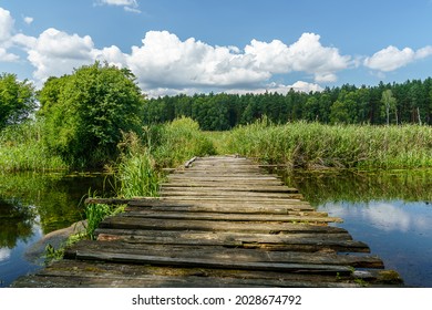 Old devastated wooden bridge, forrest in the background