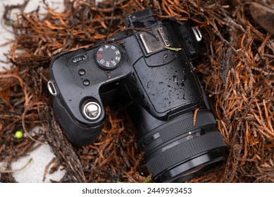 old digital camera from 2006 with 6 MP lies in the dirt
