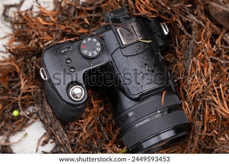 old digital camera from 2006 with 6 MP lies in the dirt