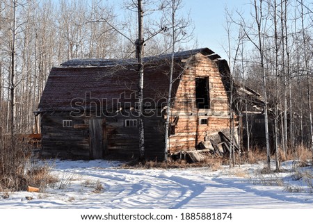 An old dilapidated barn surrounded by snow and old trees 