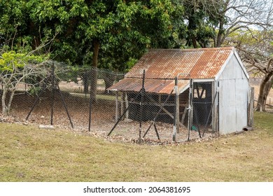 An old dilapidated rusting chicken house fenced with netted wire to form a pen enclosure