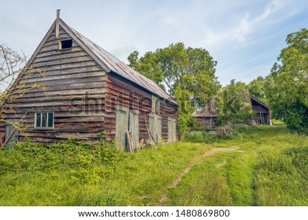 Old and dilapidated wooden barns among wild plants and shrubs. The photo was taken on a sunny day in the middle of the Dutch summer season.