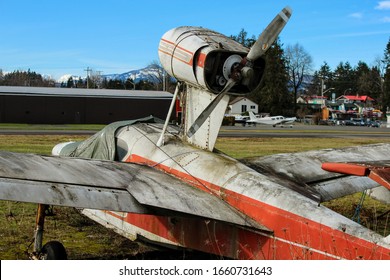 Old, dilapitated plane, Thurston Teal/ C1/2 - Skimmer, covered in moss, rust. Vintage aircraft sits in municipal airfield, engine and propeller still intact. Orange and white in color. Sunny day.