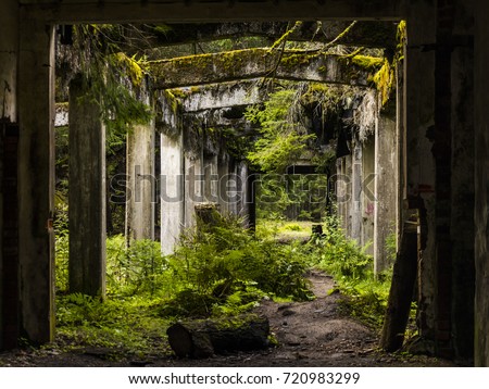 Old dirty broken ruined abandoned building among Bog, Facade ruins of industrial factory. Alley way with moss illuminated by sunlight.