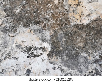 Old Dirty Concrete Wall With Black Mold Texture Background.