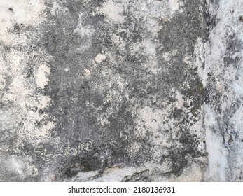 Old Dirty Concrete Wall With Black Mold Texture Background.