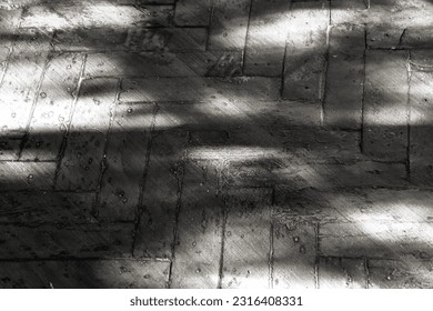 Old  dirty parquet floor  once upon time it was painted  but now the paint is worn   peeling  the light from the window draws shadows this dirty floor  abstract photo