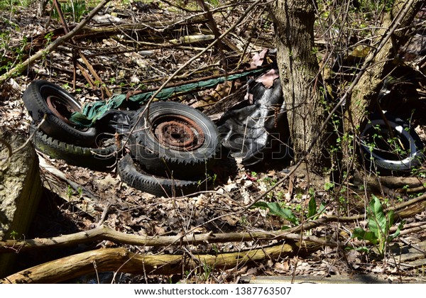 Old discarded decomposing rubber tires on\
rusting rims left in the woods polluting the wooded forest area as\
found in early springtime. 
