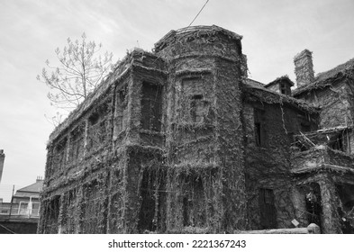 The old disrepair house in the neighborhood of the town, grayscale, close-up