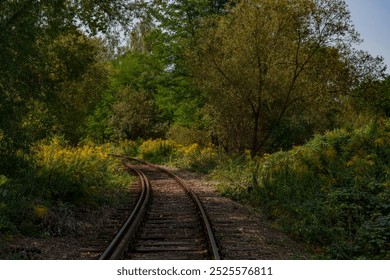 Old disused, rusty railway tracks running through the forest. - Powered by Shutterstock