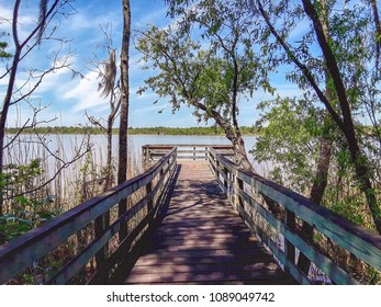 Old Dock On The Tensaw River Delta